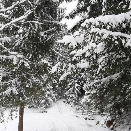 Kuca Za Odmor Ravna Planina Vakantiehuis *