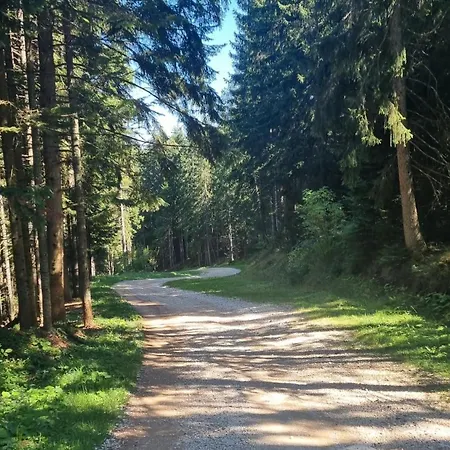 Vakantiehuis Kuca Za Odmor Ravna Planina Pale