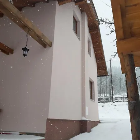 Kuca Za Odmor Ravna Planina * 帕莱