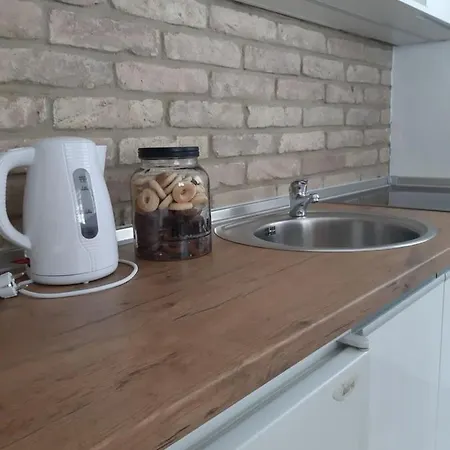 Kuca Za Odmor Ravna Planina 度假居 帕莱