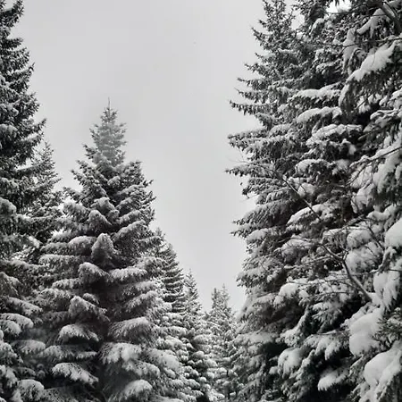 Kuca Za Odmor Ravna Planina 度假居 帕莱