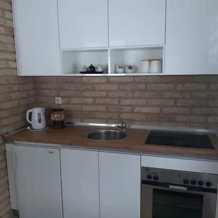 Kuca Za Odmor Ravna Planina 帕莱